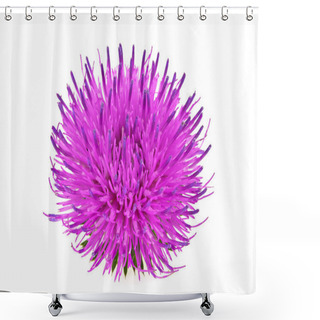 Personality  Milk Thistle Flower Isolated On A White Background Shower Curtains