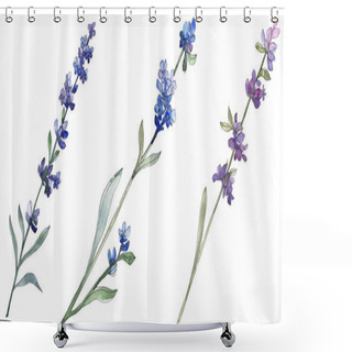 Personality  Purple Lavender Floral Botanical Flower. Wild Spring Leaf Wildflower Isolated. Watercolor Background Illustration Set. Watercolour Drawing Fashion Aquarell. Isolated Lavender Illustration Element. Shower Curtains