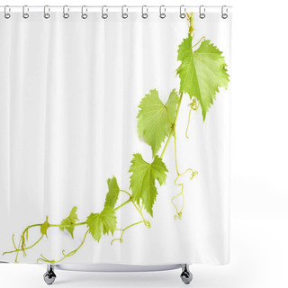 Personality  Green Wine Leaves Shower Curtains
