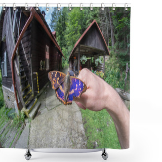 Personality  The Lesser Purple Emperor, Apatura Ilia On Hand In Czech Republic Shower Curtains