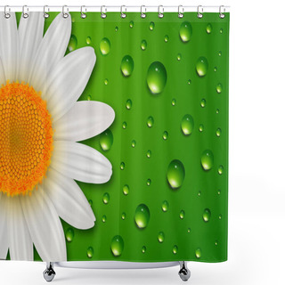 Personality  Flower Background, White Daisy Flower Over Green Water Drops Spring Background Shower Curtains