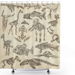 Personality  Bones And Skulls Of Different Animals - Freehands Shower Curtains