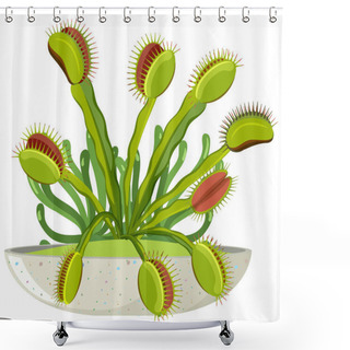 Personality  Venus Flytrap Carnivorous Plant  And Insect Illustration Shower Curtains