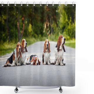 Personality  Group Of Dogs Basset Hound Shower Curtains