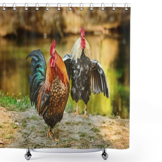 Personality  Two Roosters On The Bank Of The River Shower Curtains