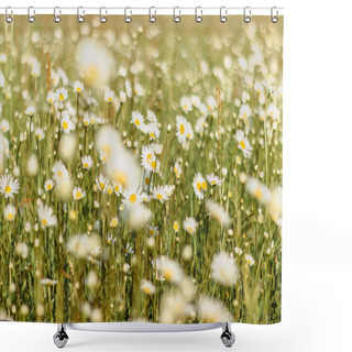 Personality  Detail Of Daisy Flowers. Spring Flower Close Up.Wonderful Fabulous Daisies On A Meadow In Spring. Spring Blurred Background.Blooming White Daisy Selective Focus.Romantic Bright Wallpaper Shower Curtains