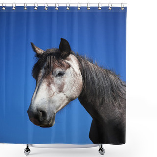 Personality  Gray Horse Portrait Shower Curtains