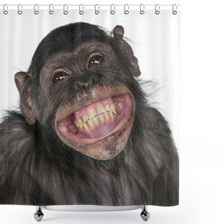 Personality  Mixed-Breed Monkey Between Chimpanzee And Bonobo Shower Curtains