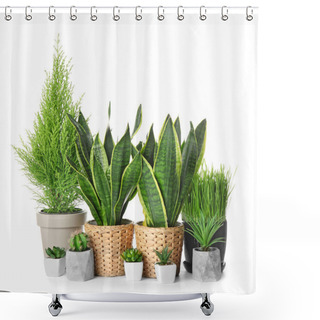 Personality  Different Houseplants On White Background Shower Curtains