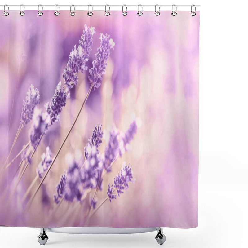 Personality  Soft Focus On Lavender Flower, Beautiful Lavender In Flower Garden Shower Curtains
