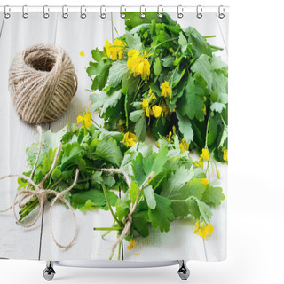 Personality  Harvesting Celandine For Herbal Medicine  Shower Curtains