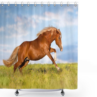Personality  Red Horse  Run Shower Curtains