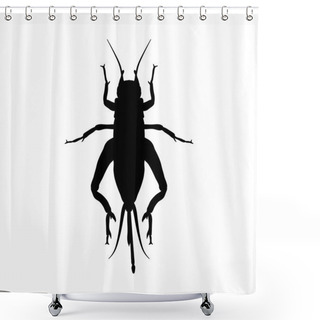 Personality  Cricket. Grig. Gryllus Campestris. Sketch Of Cricket.  Cricket Isolated On White Background. Shower Curtains