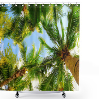 Personality  Palm Trees Shower Curtains