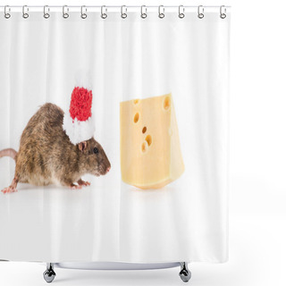 Personality  Rat In Santa Hat And Cheese On White Background With Copy Space In New Year  Shower Curtains