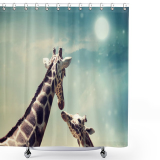 Personality  Giraffes In Friendship Or Love Concept Image Shower Curtains