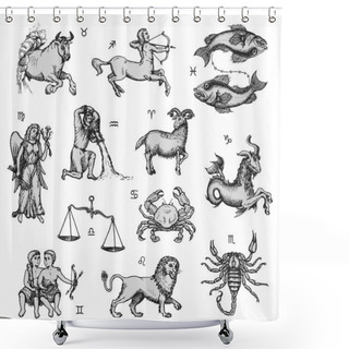 Personality  Zodiac Signs Set, Vector Drawing. Horoscope Design Shower Curtains