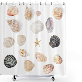 Personality  Various Color Shell Isolated On White Shower Curtains