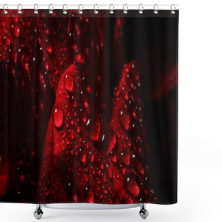 Personality  Red Rose With Dew On A Black Background Shower Curtains
