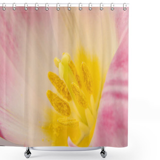 Personality  Macro Close Up Of Tulip Pistil Shower Curtains