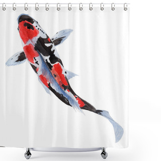 Personality  Koi Crap Fish Hand Drawn Sketch And Watercolor Illustrations. Watercolor Painting Cute Koi Crap Fish. Animal Illustration Isolated On White Background. Shower Curtains