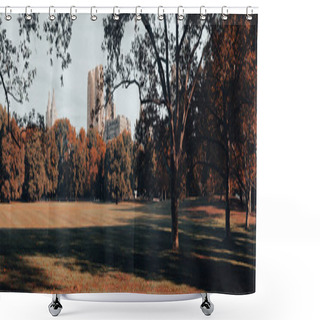Personality  Green Lawn With Trees And Skyscrapers On Background In New York City, Banner Shower Curtains
