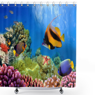 Personality  Marine Life On The Coral Reef Shower Curtains