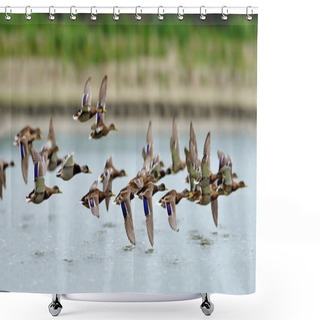 Personality  Wild Ducks Flying Over The Lake Shower Curtains
