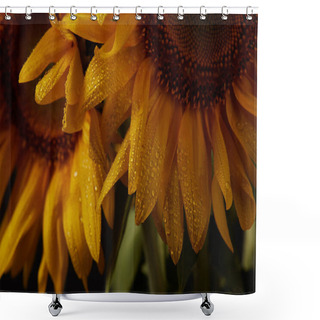 Personality  Dark Background With Wet Orange Sunflowers Shower Curtains