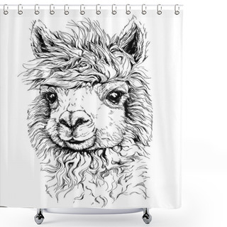 Personality  Realistic Sketch Of LAMA Alpaca Shower Curtains