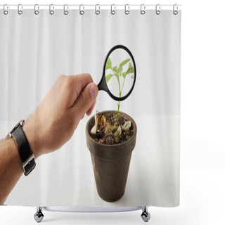 Personality  Partial View Of Person Holding Magnifying Glass And Green Plant In Pot On Grey  Shower Curtains