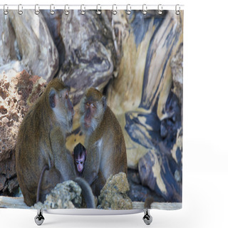 Personality  Monkey On Monkey Beach Phi Phi Shower Curtains
