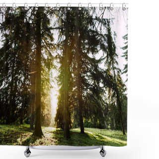 Personality  Sunrise In Autumn Forest Shower Curtains