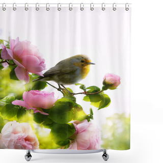 Personality  Art Beautiful Rose In The Park At Morning  Shower Curtains