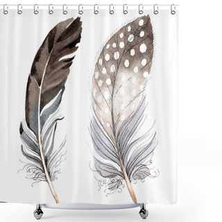 Personality  Bird Feathers From Wing Isolated On White. Watercolor Background Illustration Set. Shower Curtains