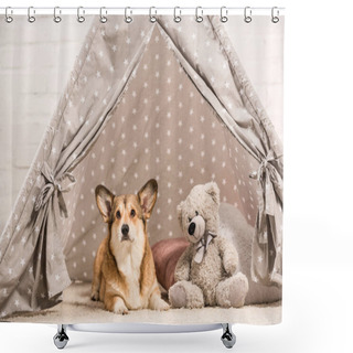Personality  Cute Welsh Corgi Dog Lying In Wigwam With Teddy Bear At Home Shower Curtains