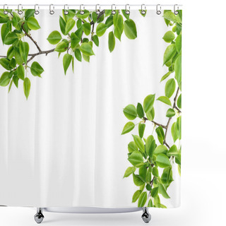 Personality  Branch Of Pear Wood Shower Curtains