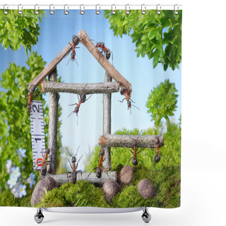 Personality  Team Of Ants Constructing Wooden House, Teamwork Shower Curtains