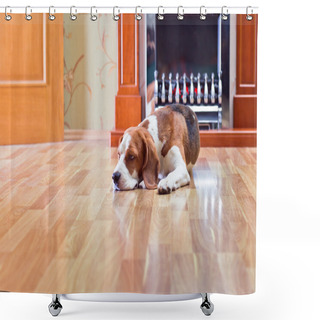 Personality  Dog On A Floor Shower Curtains