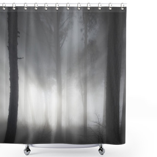 Personality  Misty Forest Shower Curtains