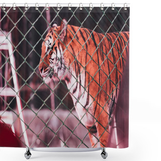 Personality  KYIV, UKRAINE - NOVEMBER 1, 2019: Selective Focus Of Tiger Behind Net Of Circus Stage Shower Curtains