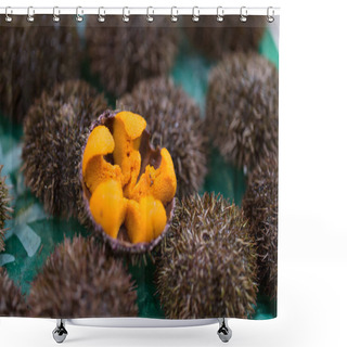 Personality  Uni Urchin Sashimi Fresh Seafood From Japan Shower Curtains