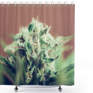 Personality  Cannabis Bud Shower Curtains