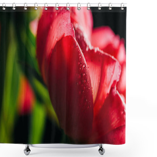 Personality  Close Up View Of Pink Peony With Water Drops Shower Curtains