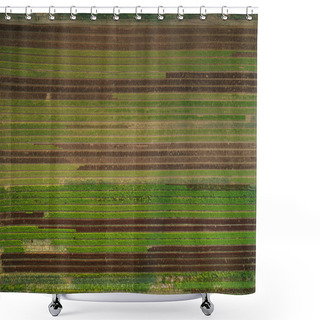 Personality  Greenery Shower Curtains