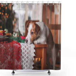 Personality  Dog Breed Jack Russell Terrier Holiday, Christmas Shower Curtains