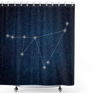 Personality  Capricorn Constellation. Zodiac Sign Capricorn Constellation Lin Shower Curtains