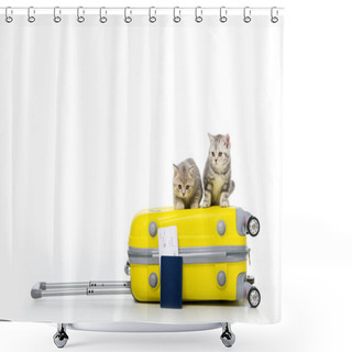 Personality  Adorable Kittens Sitting On Suitcase And Passport With Ticket Isolated On White Shower Curtains