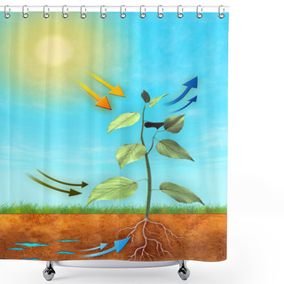 Personality  Photosynthesis Shower Curtains