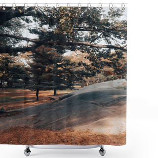 Personality  Grey Stone Under Green Trees On Lawn In Central Park Of New York City Shower Curtains
